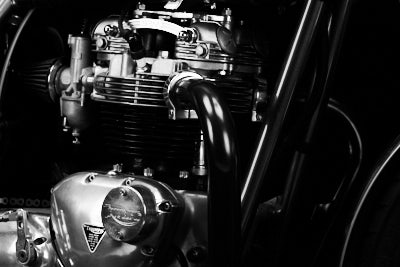 Malarkey Bonneville
