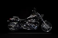 Triumph Cruisers