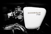 Triumph Bonneville T100