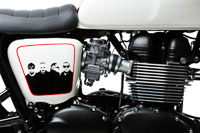 Triumph Bonneville - Stranglers 40th Anniversary