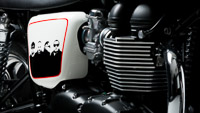 Triumph Bonneville - Stranglers 40th Anniversary