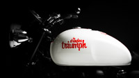 Triumph Bonneville - Stranglers 40th Anniversary