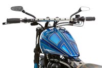Triumph Custom